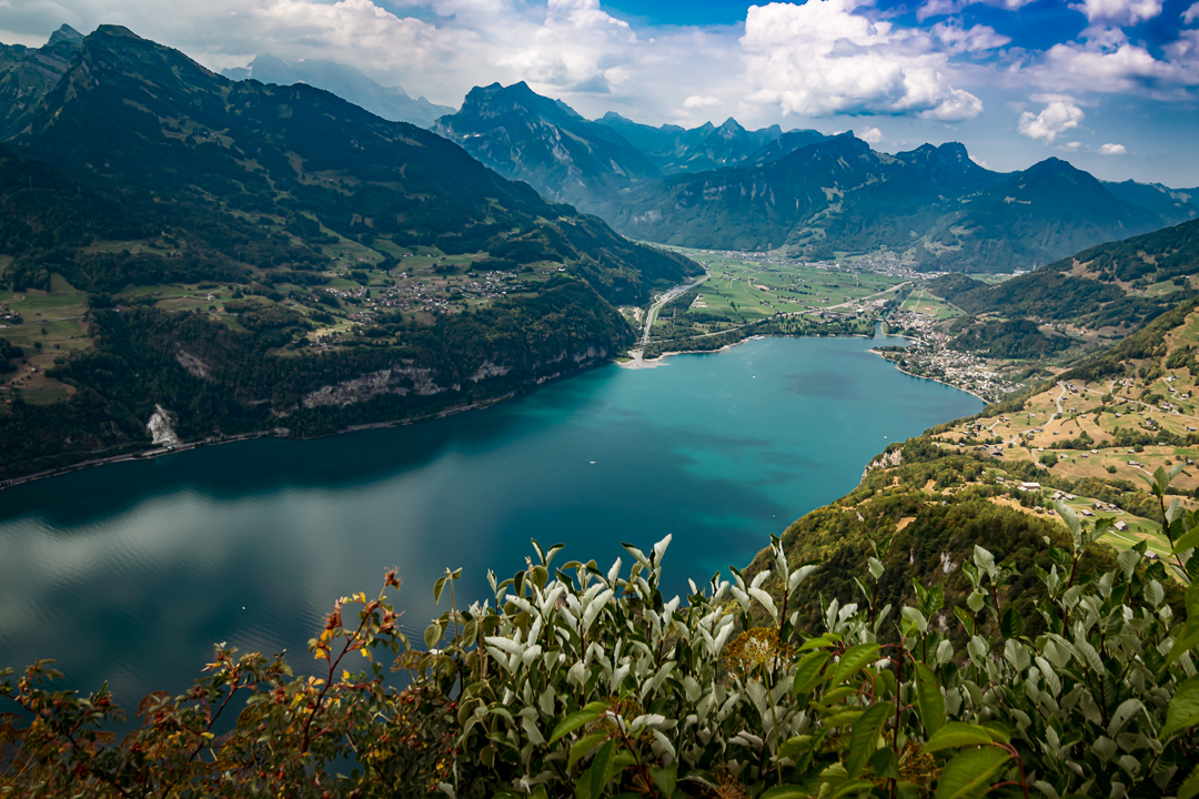 View over Walensee - View from the vantage point at Arvenbüel / Chapf, Switzerland. This vantage point is easy to reach (just around 20 minutes from the parking area and bus stop) and offers a wonderful overview over the Walensee.  