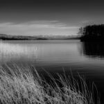 Hallwilersee Mood - black and white impression