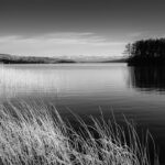 Hallwilersee (bw)