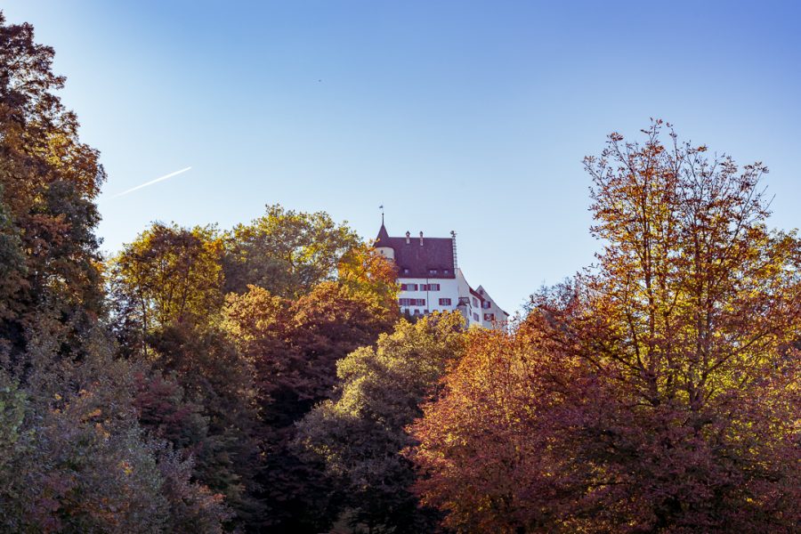 Schloss Lenzburg behind Autumn Forest