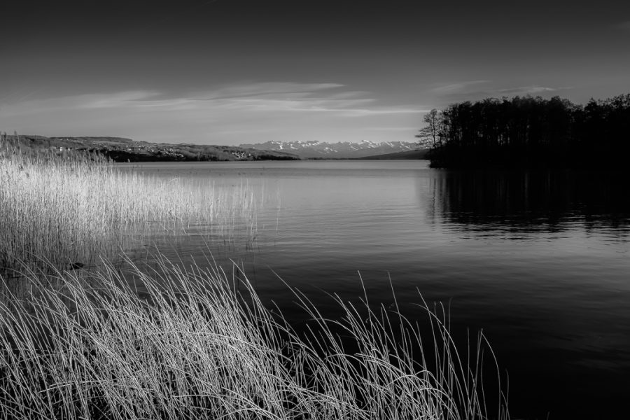 Hallwilersee Mood - black and white impression